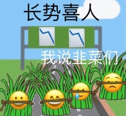長勢喜人我說韭菜億AA (基金股票表情包 韭菜表情包)_長勢喜人_韭菜表情